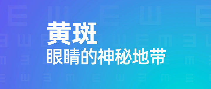 你所不知的黃斑：關乎視力的神秘地帶